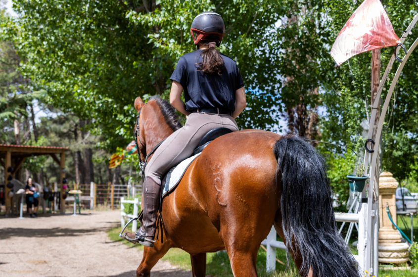 Actions in the field illustration