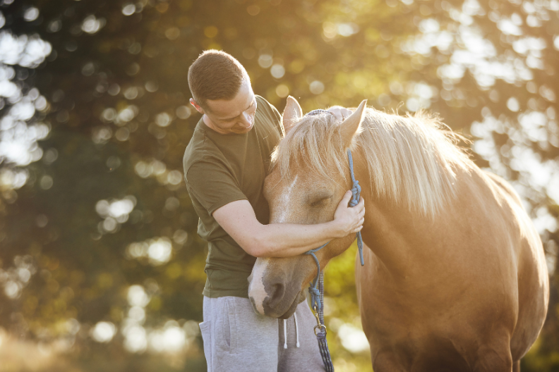 Calm, respectful handling of a horse