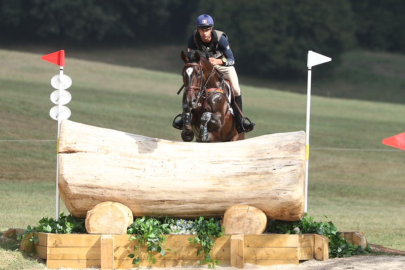 Horse in competition