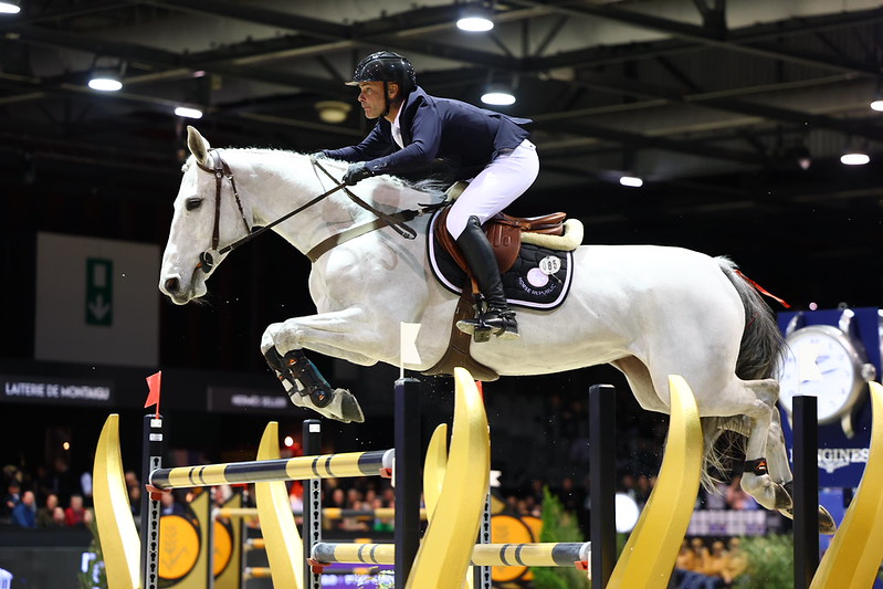 Cheval en mouvement