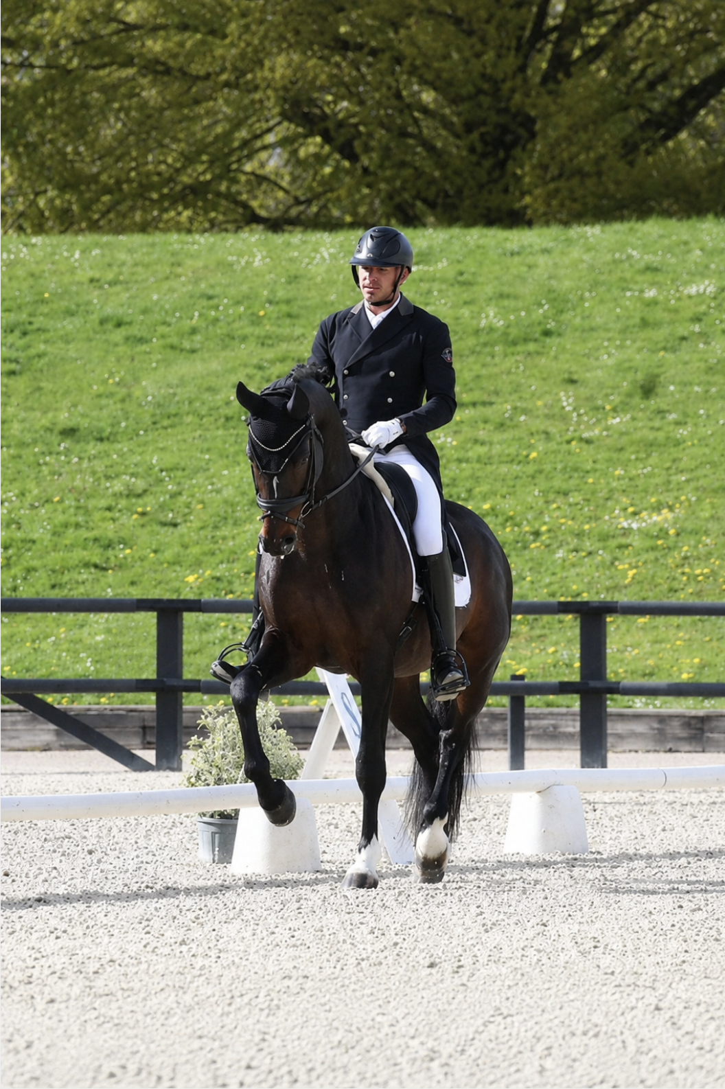 Cheval et cavalier pratiquant le dressage